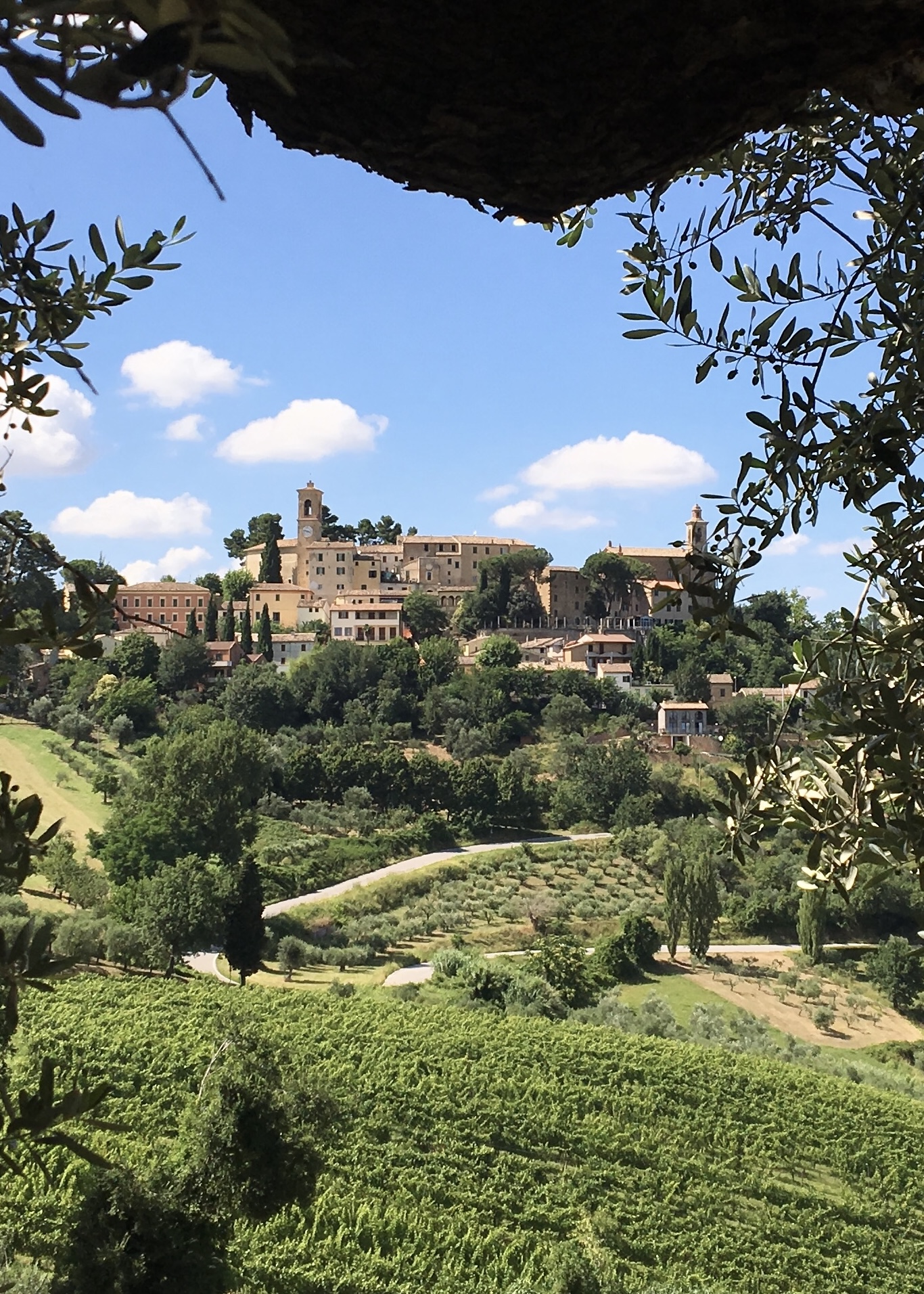 Castelbellino